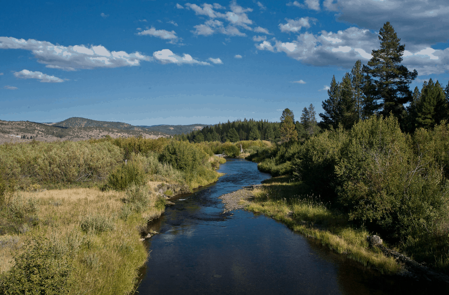 A scenic view of sycan river.