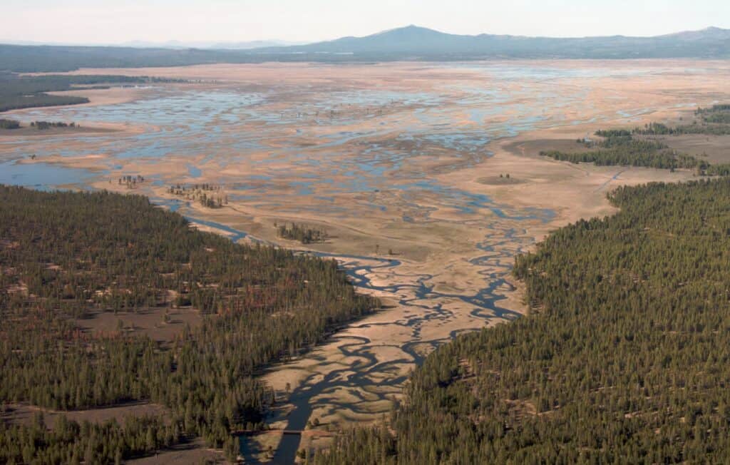 A scenic view of the sycan marsh and forest beside it.