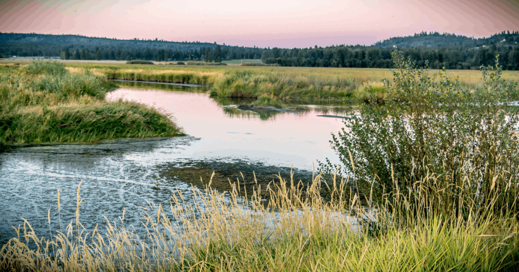 A scenic view of the Wood River.