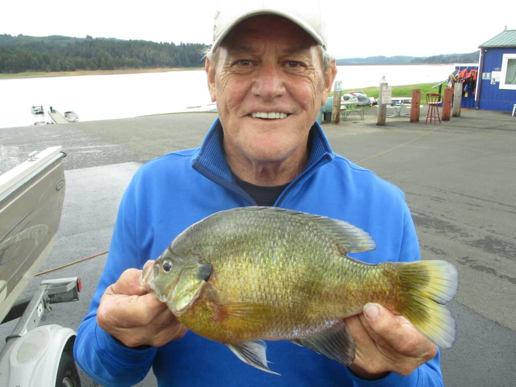 A giant bluegill caught at hagg lake near forest grove, oregon.