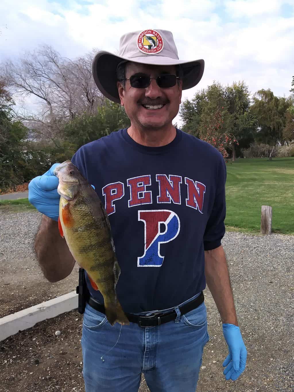 An angler holds a nice yellow perch.