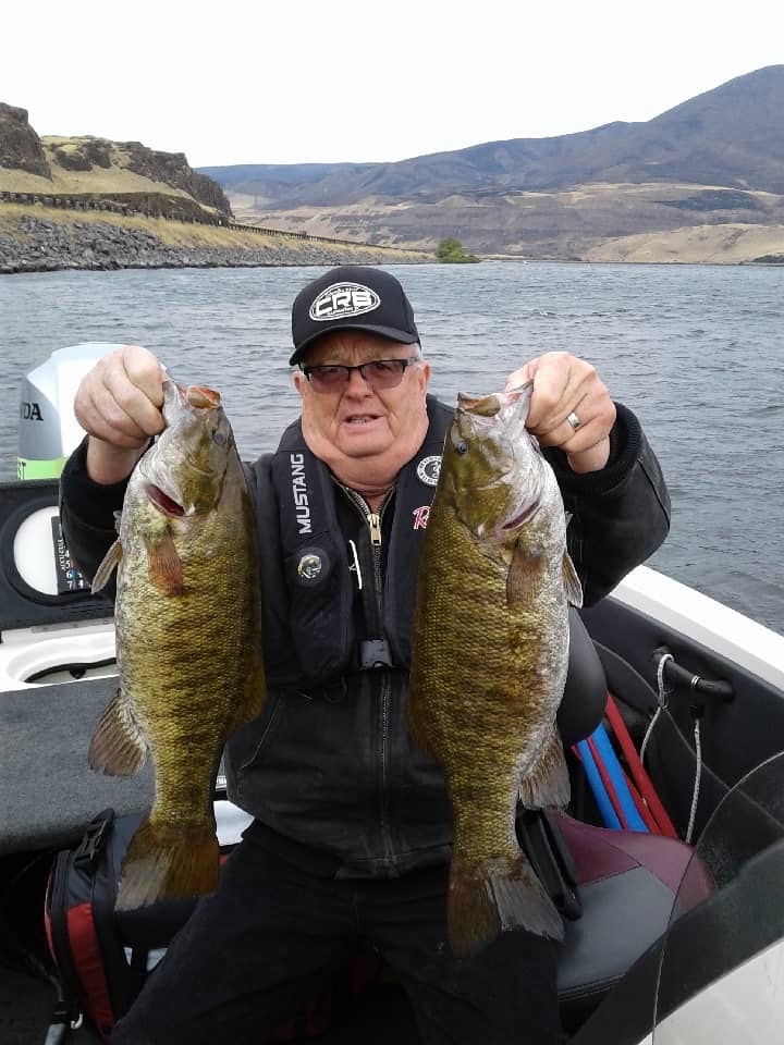 An angler showcasing two smallmouth bass caught in columbia river near the dalles.