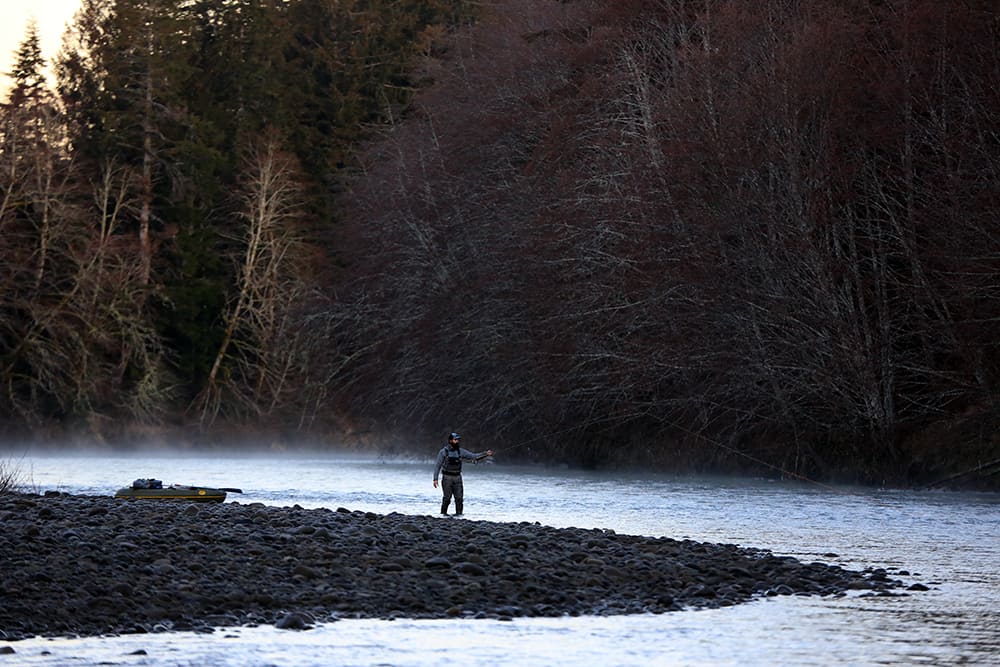 An angler fly fishing at hoh river.