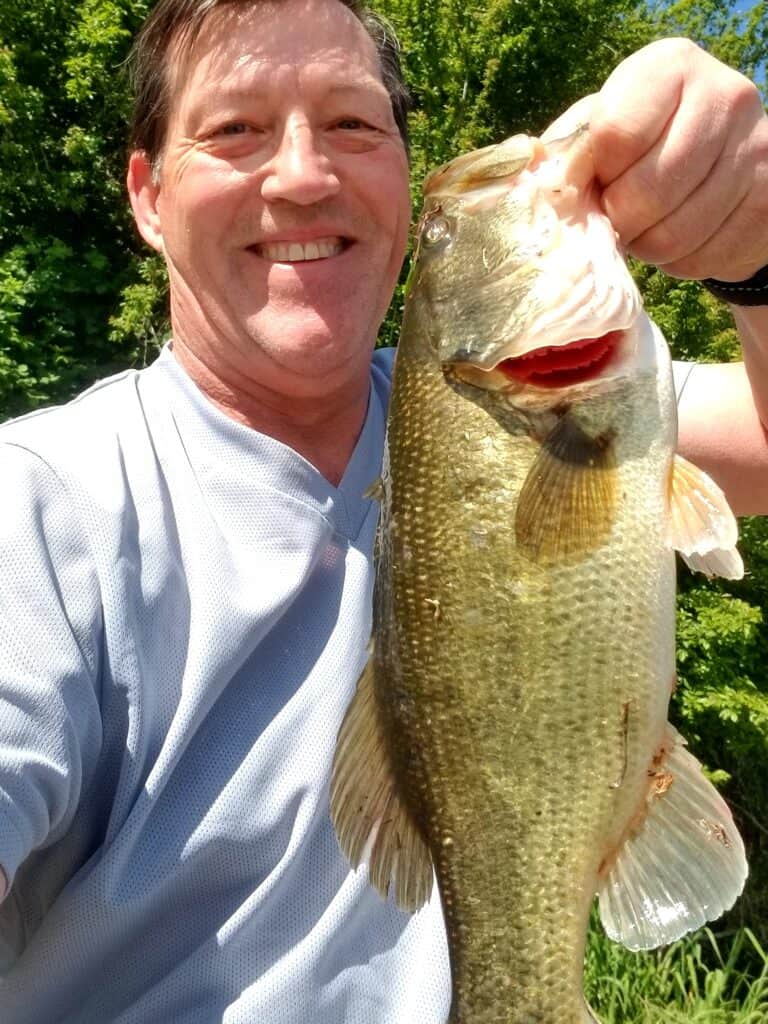 A fisherman holding a largemouth bass caught in columbia river slough.