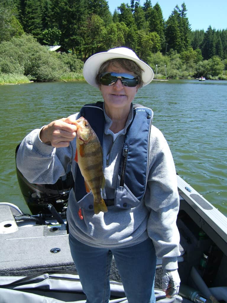 A woman holding yellow perch caught from a boat.