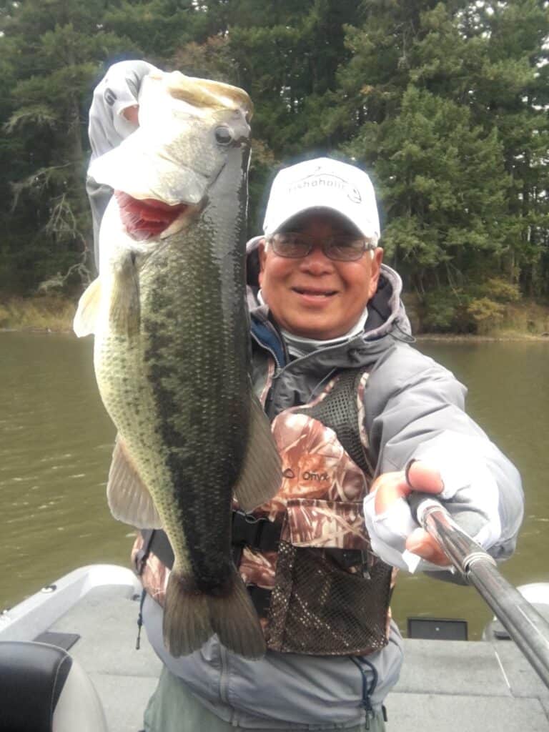 An angler holding a largemouth bass caught at lacamas lake.