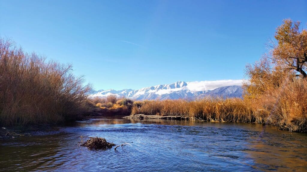 snöiga berg skymtar vid horisonten bakom owens river i kalifornien