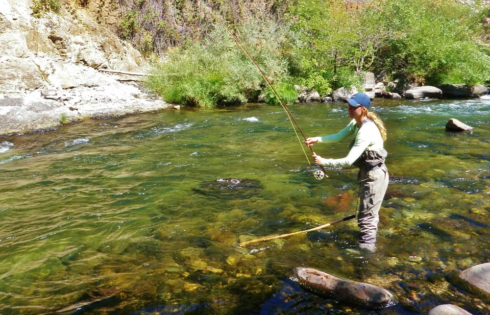 Donna che guada e pesca a mosca sul fiume Upper Sacramento