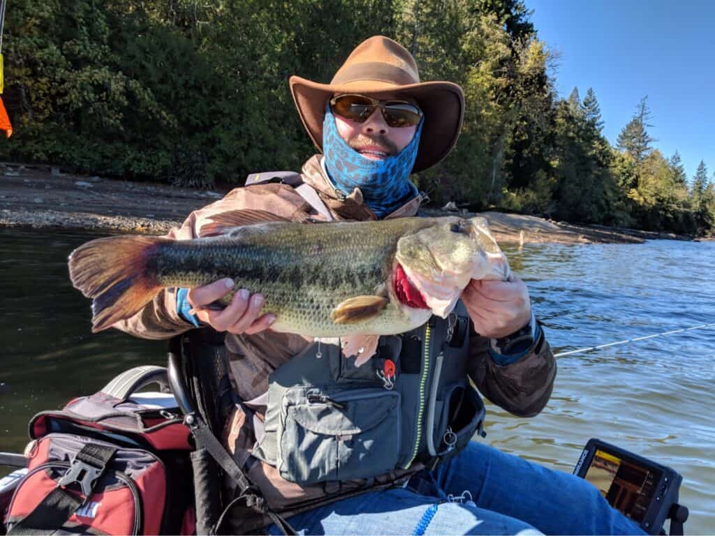 An angler holding a largemouth bass caught at lacamas lake, washington.