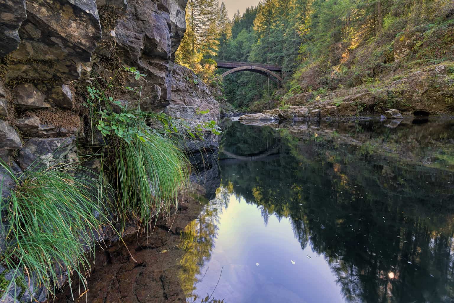 A scenic view of lewis river below moulton falls.