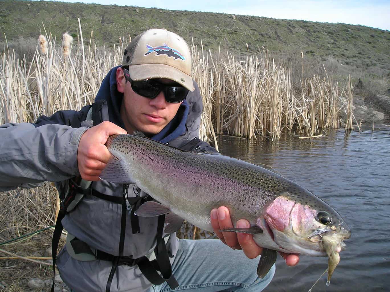 A huge rainbow trout was caught and held by a fly fishing angler on Rocky Ford Creek in Washington.