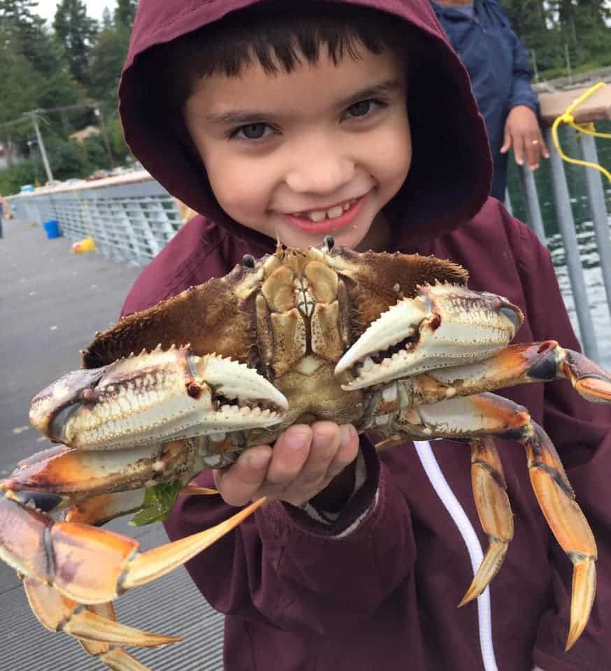 Boy catches a crab from Harper Pier in Kitsap County Washington.