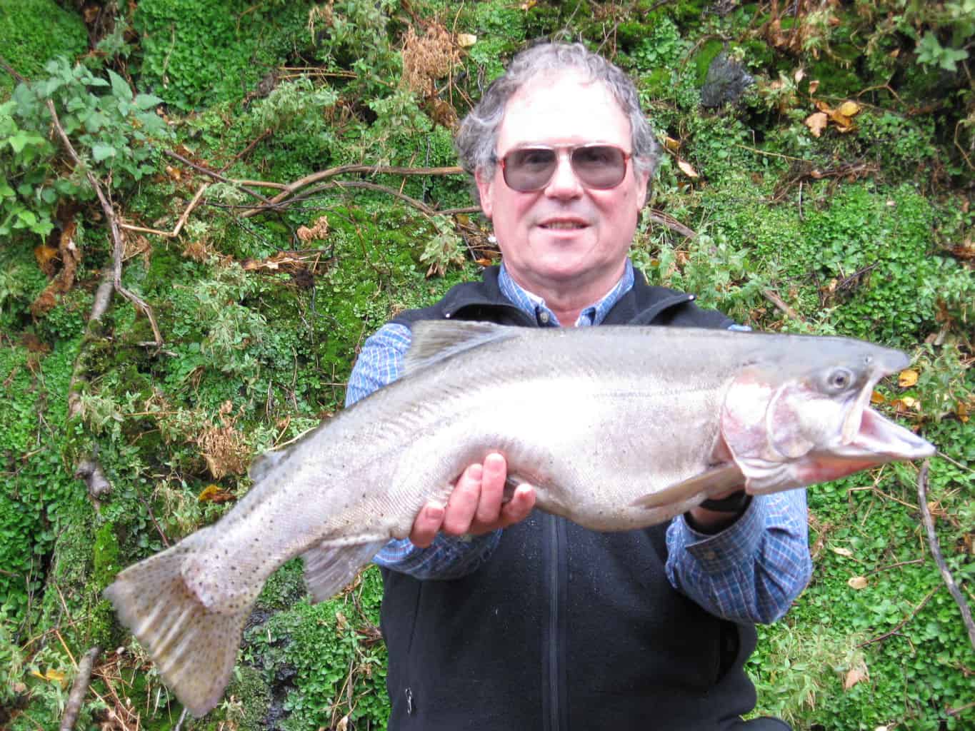 Angler holds up giant 10-pound Lahontan cutthroat caught at Lenore Lake in Washington.