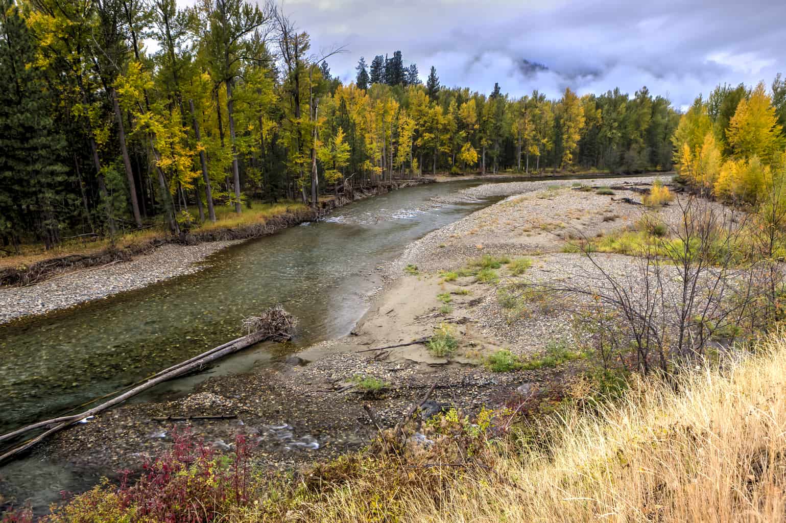 A view of methow river near winthrop during autumn.