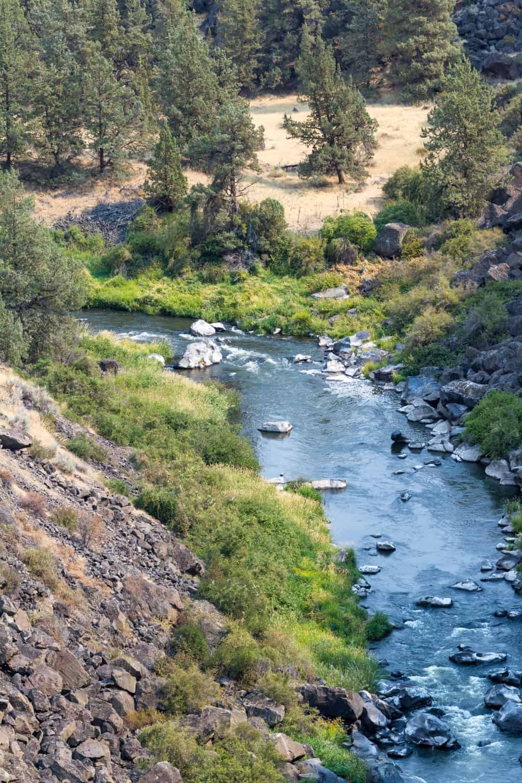 Best Fly Fishing Rivers in Oregon Best Fishing in America