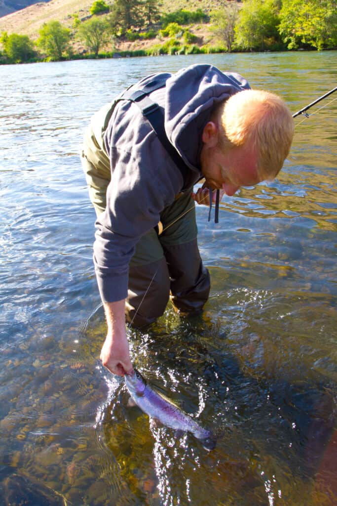 An angler holding a trout in water ready for release.