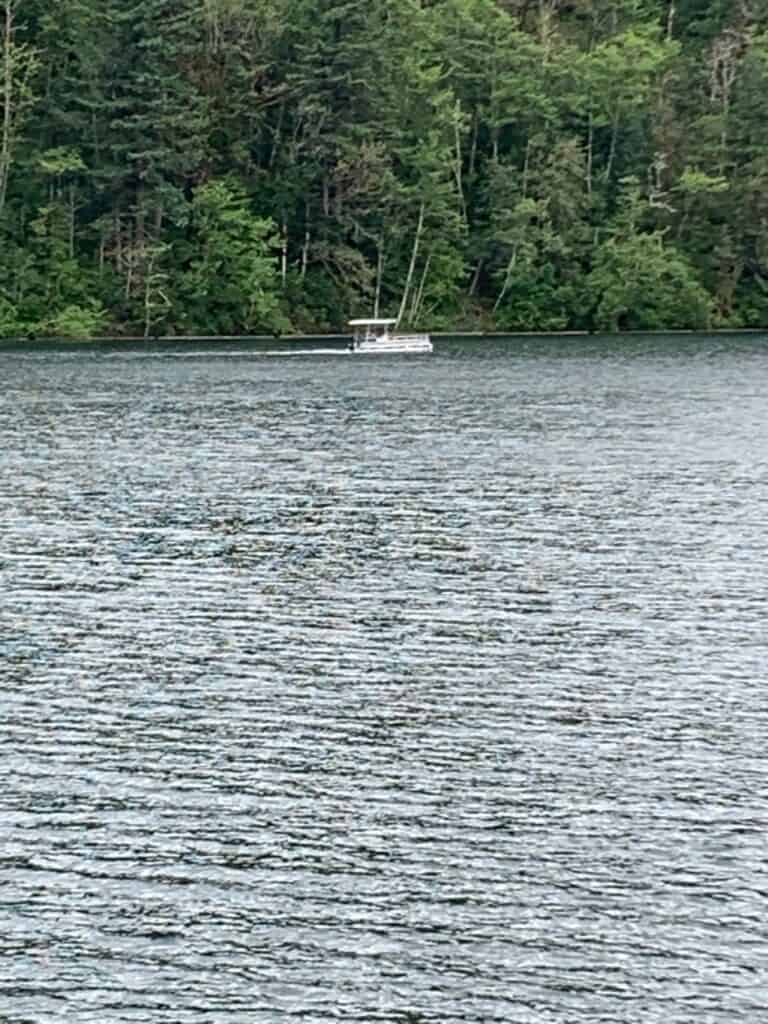 A boat motors toward the dam along forested hillsides that surround North Fork Reservoir near Estacada, Oregon.