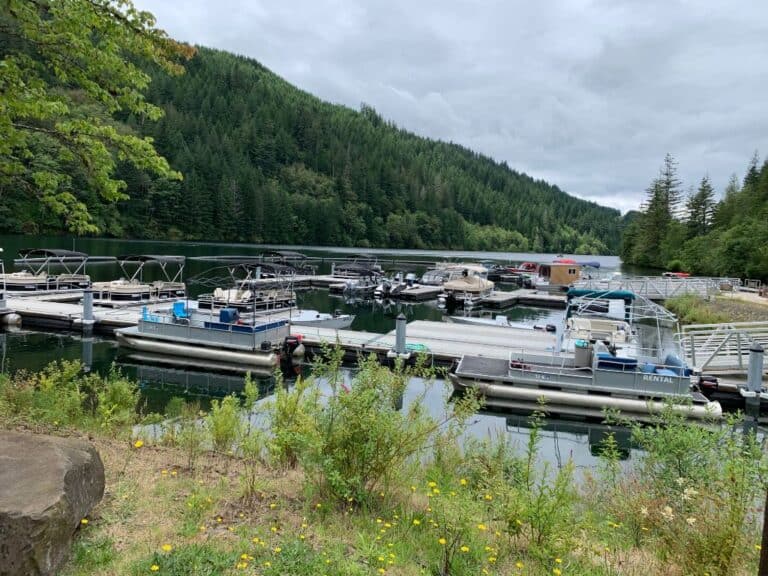 Trout Fishing at North Fork Reservoir Near Estacada (2024) Best