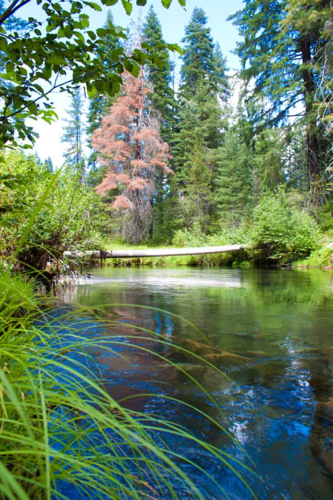 A log straddles the upper Rogue River in Southern Oregon.