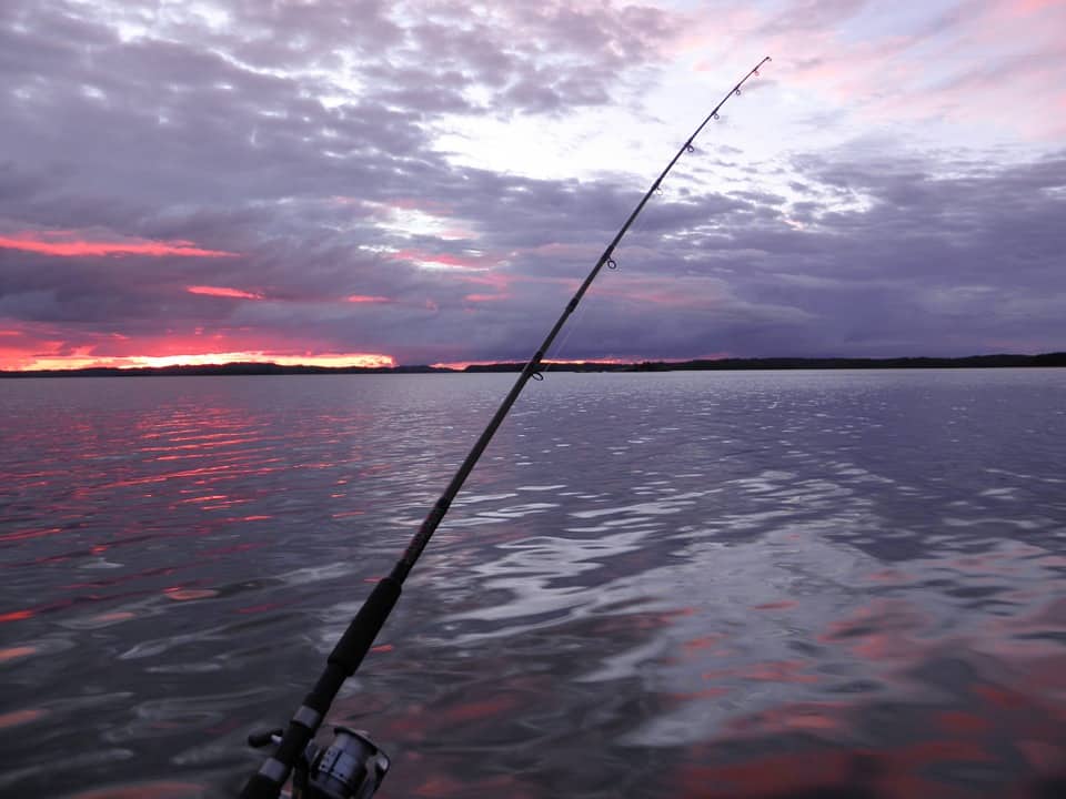 Rod in the water with a scenic view in the background.