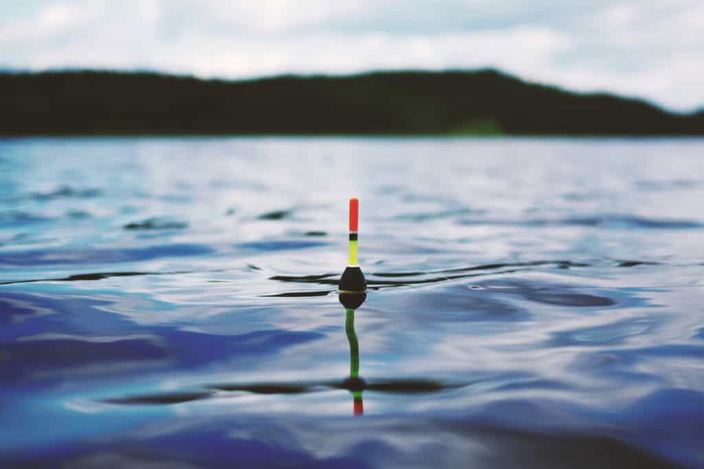 Bobber floating in a lake.