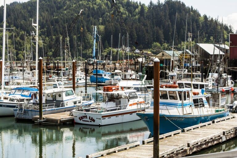Tillamook Bay Fishing, Crabbing and Clamming (2023 Update) Best