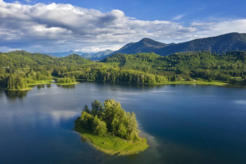 An aerial view of Alder Lake on the Nisqually River.