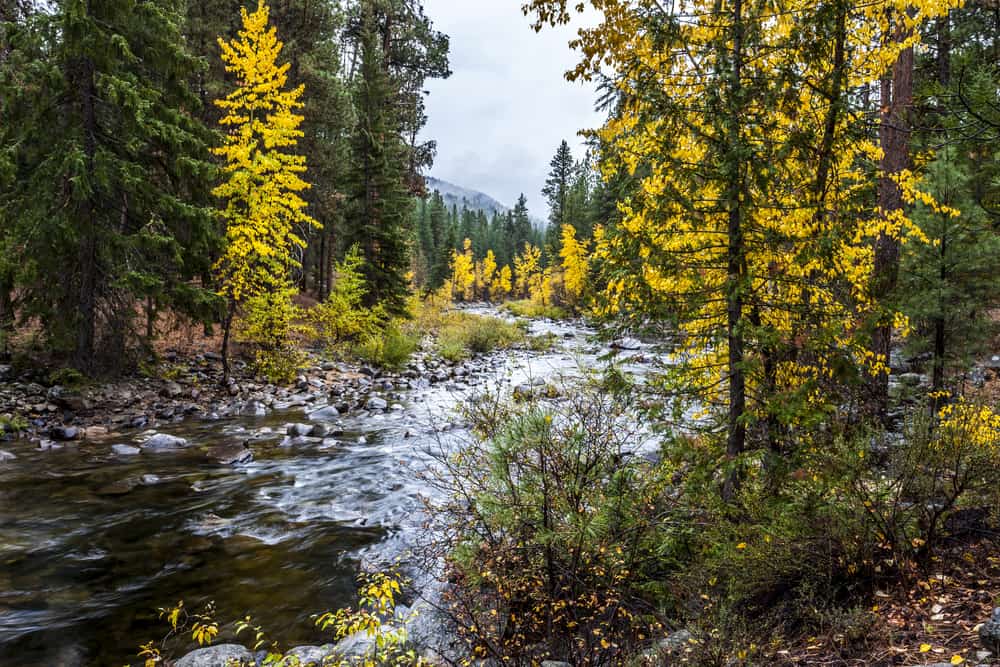 A view of Chewuch River near Winthrop, Washington.