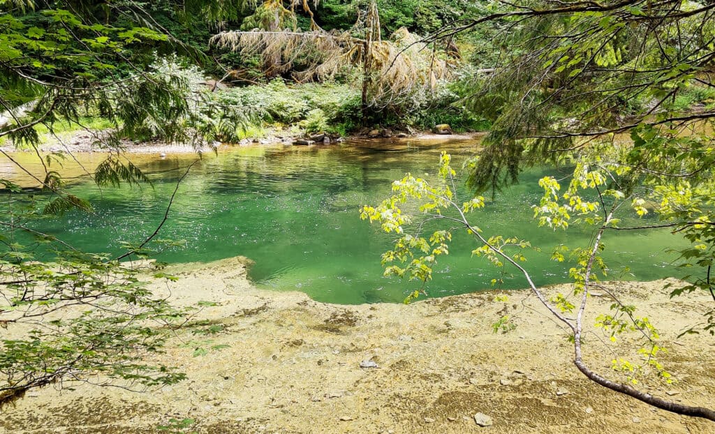 A scenic view of upper lewis river in skamania county.