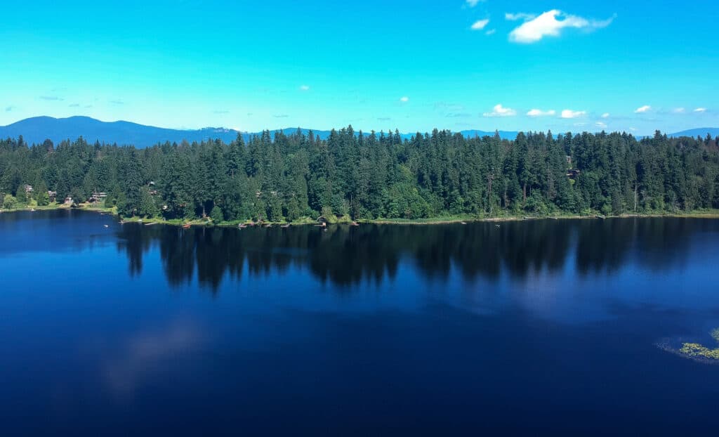 An aerial view of spring lake in king county washington.