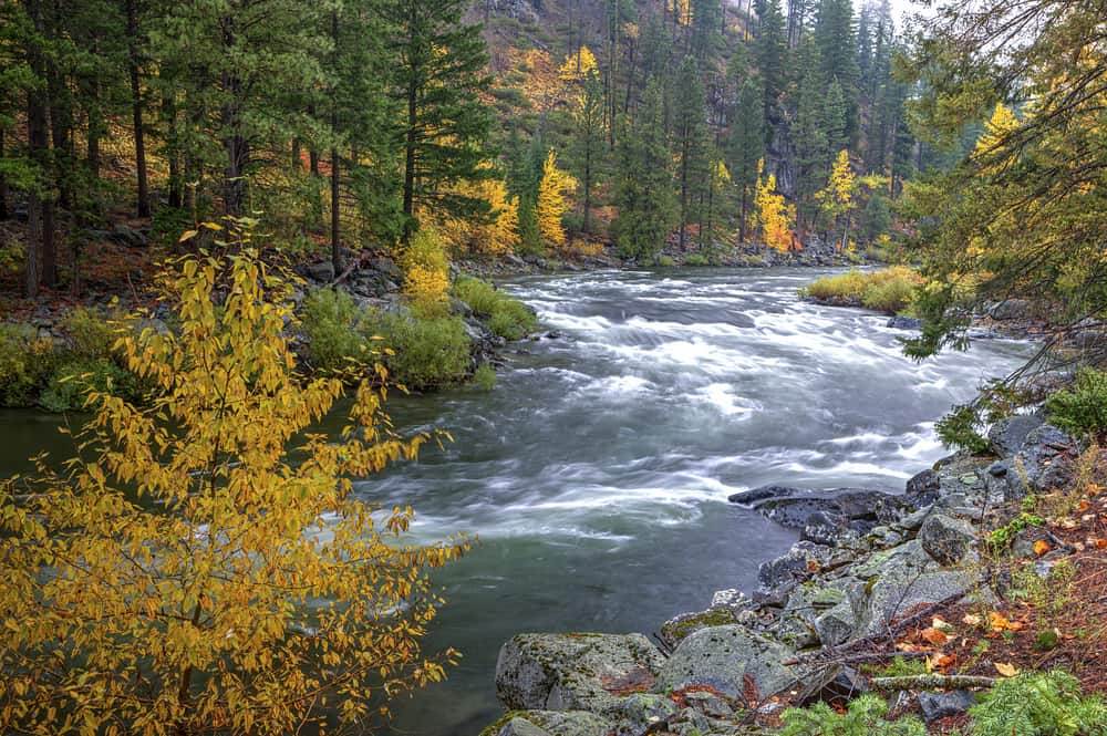 A scenic of Wenatchee River with autumn colors.