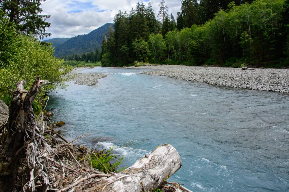 A scenic of hoh river on washington's olympic peninsula.