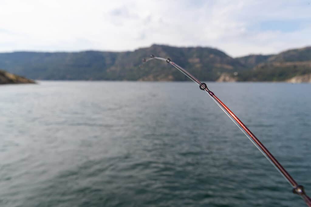 rod in water at lake roosevelt