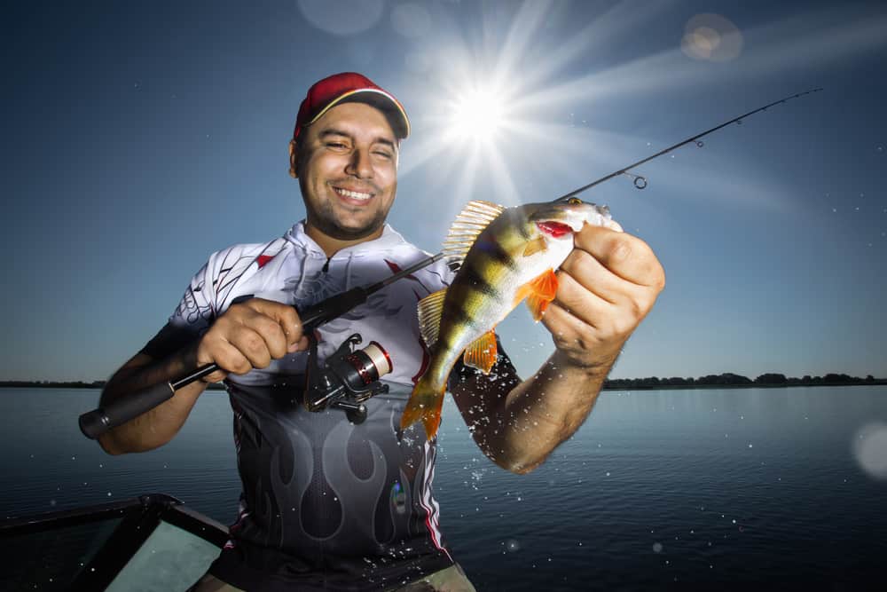 man holding yellow perch and a spinning rod