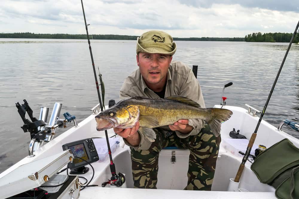 An angler showcasing a walleye while on a boat.