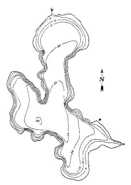 A depth map of Newman Lake.