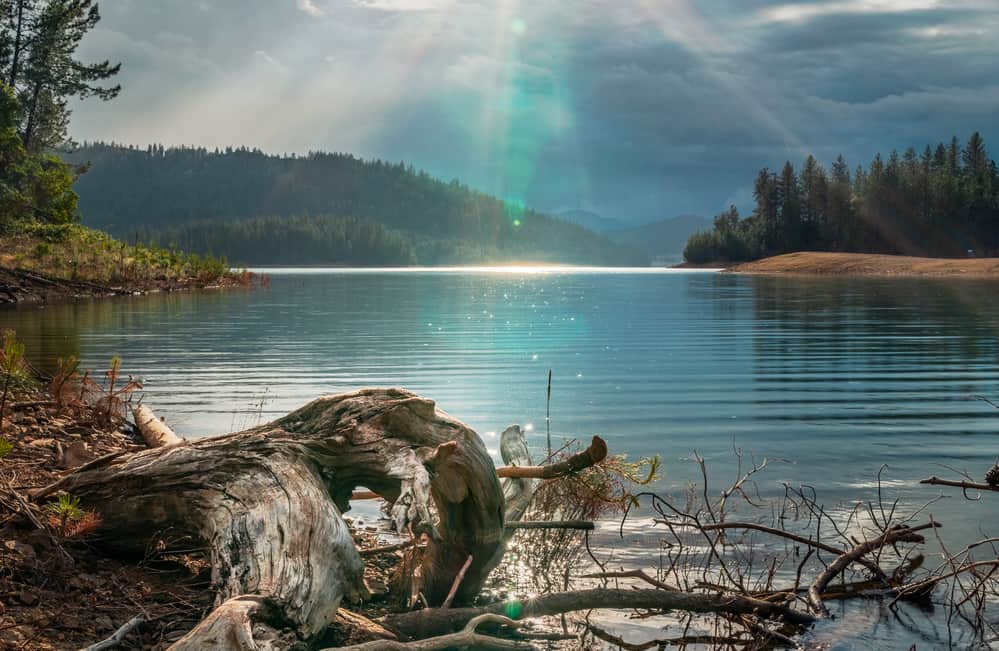 Scenic view of sunset at Whiskeytown Lake, one of California's top kokanee fishing spots.