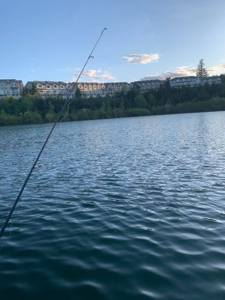 A fishing pole in front of Progress Lake with condos in the background.