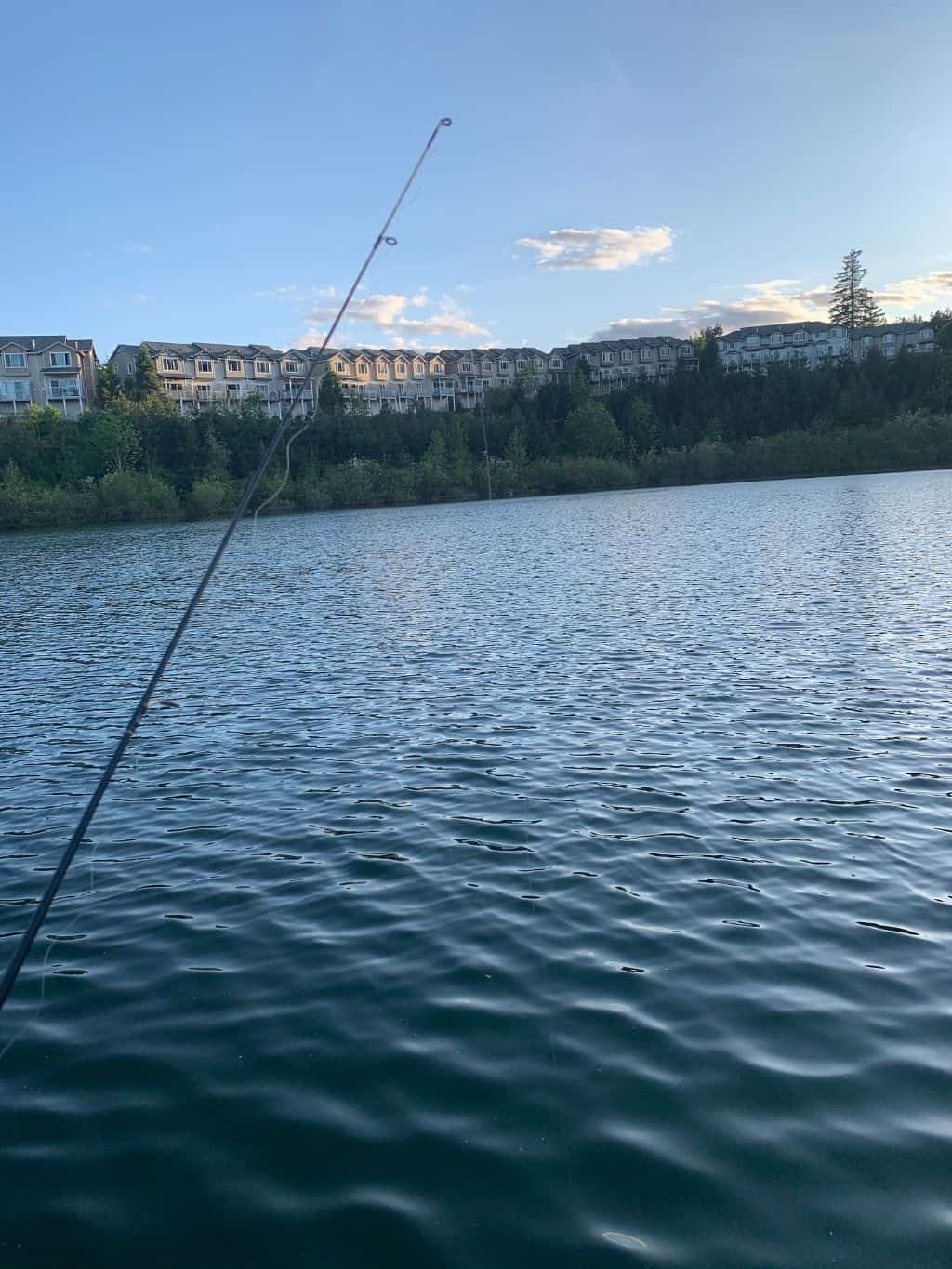 Progress Lake Park Hours