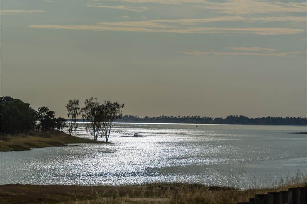 A fishing boat rounds a tree-studded point at dusk on Lake Camanche.