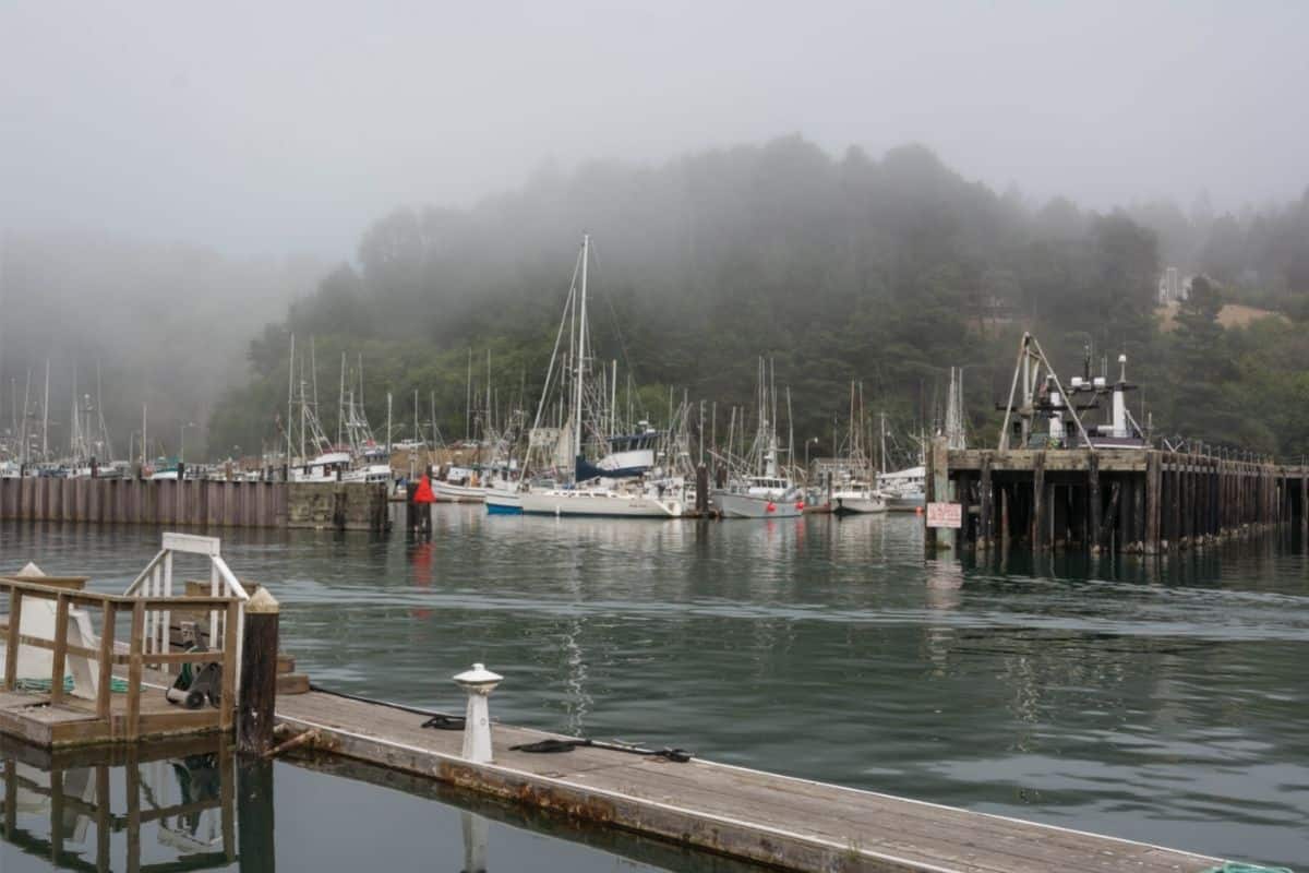 Noyo Harbor at Fort Bragg, California, on a foggy day.
