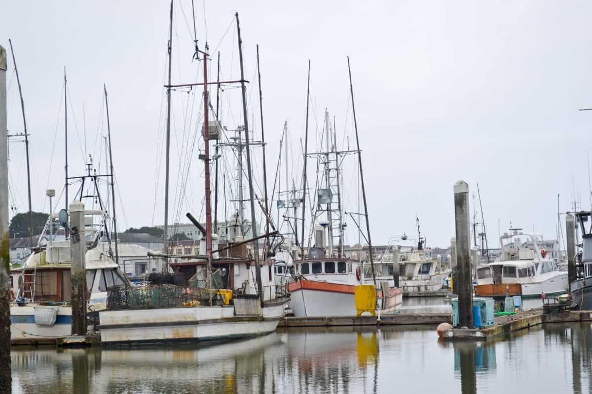 Fishing boats at Humboldt Bay Marina