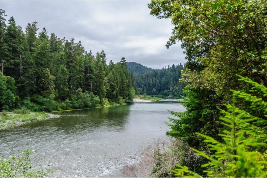 Scenic Smith River in California Redwoods.
