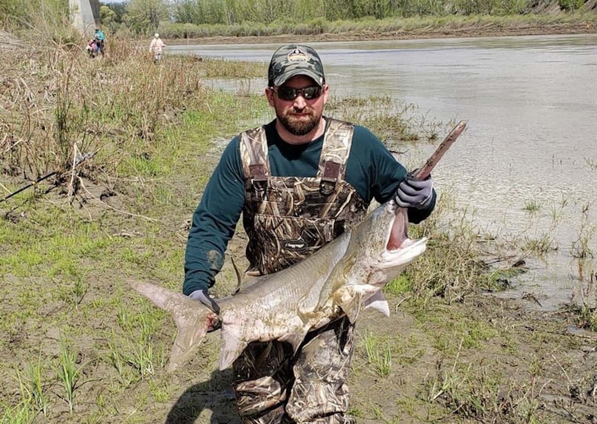 Montana Paddlefish Best Snagging Spots and Tips Best Fishing in America