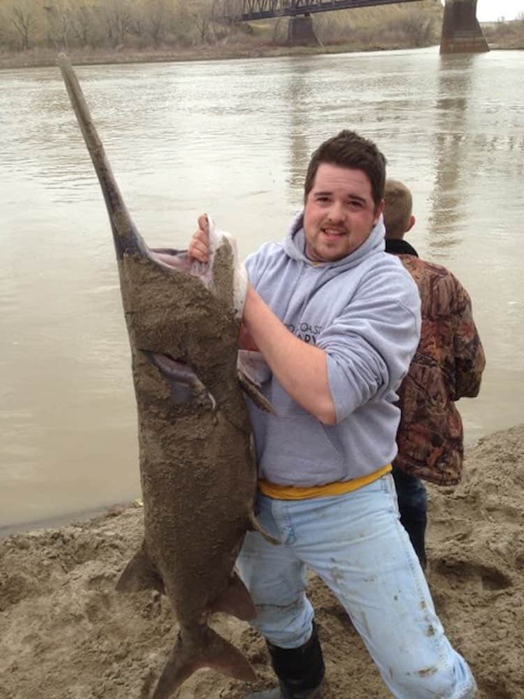 Montana Paddlefish Best Snagging Spots and Tips Best Fishing in America