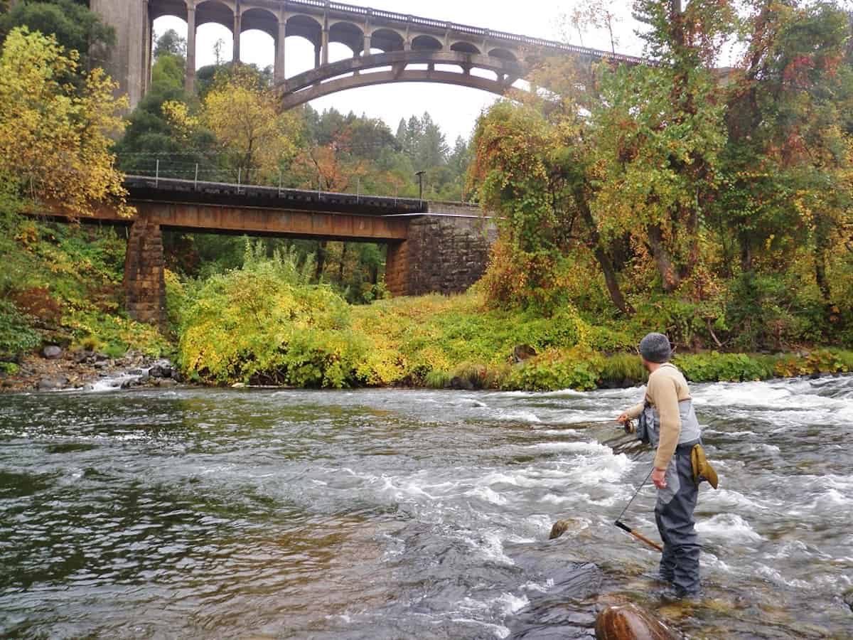 A fly fisherman plies the waters of the upper Sacrament River near a scenic bridge.