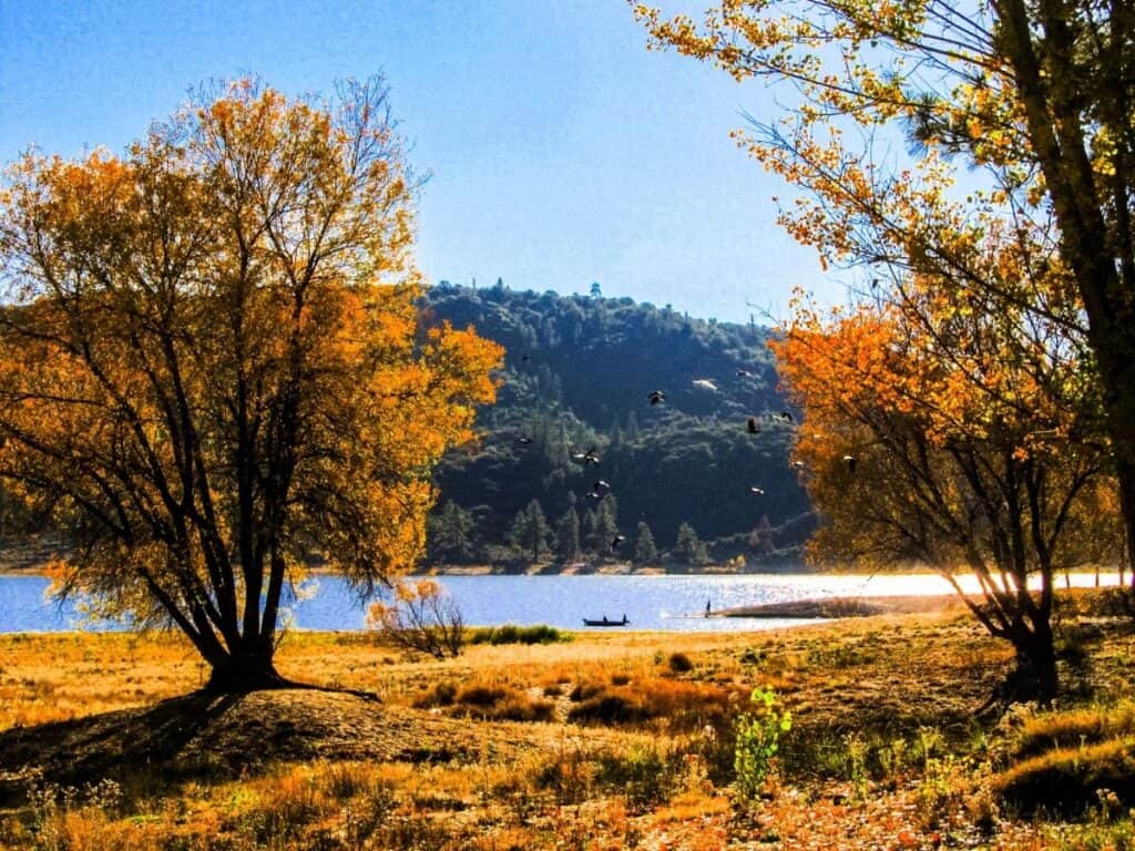 A fishing boat on the surface of Lake Hemet surrounded by golden trees.