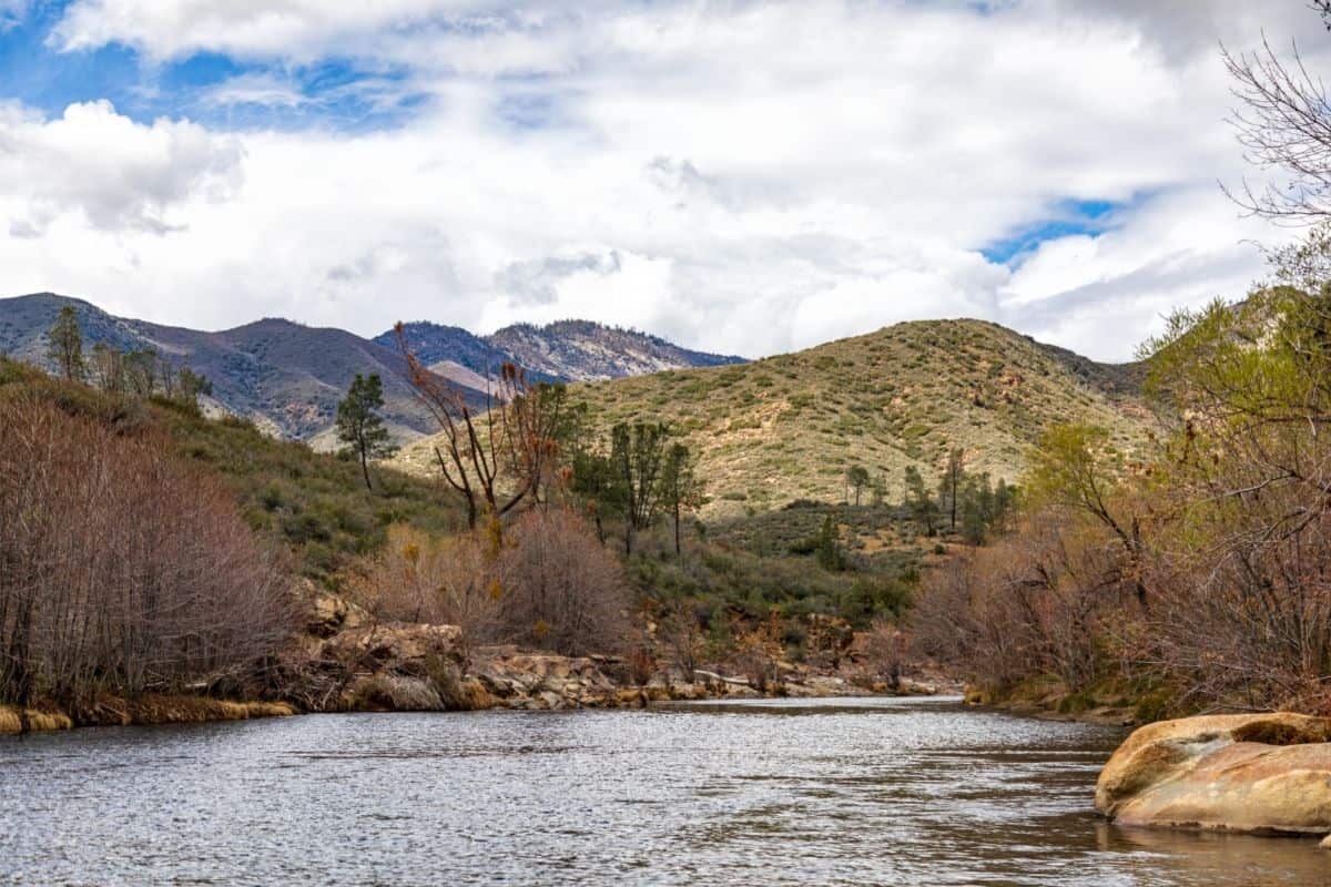 A gentle flowing section of the Kern River east of Bakersfield.