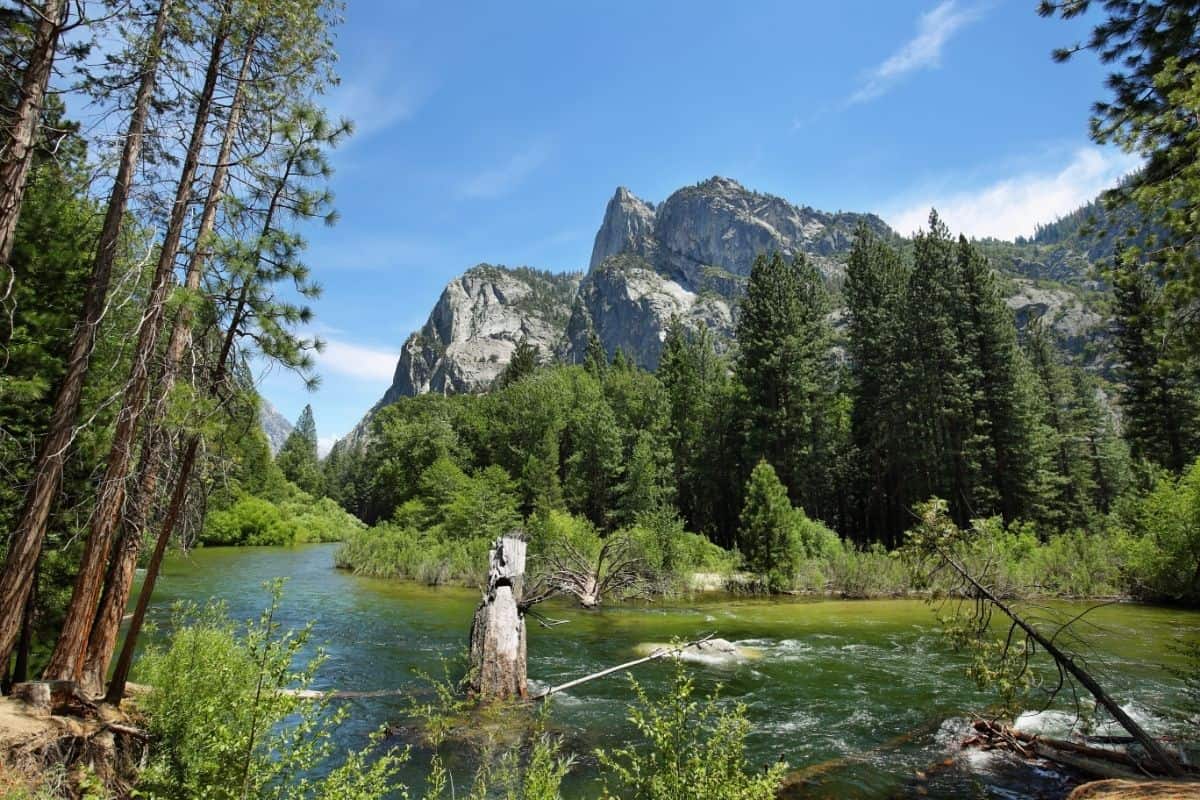 View of Kings River flowing through Kings Canyon National Park.