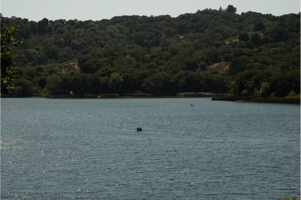 A fishing boat motoring across the surface of Lafayette Reservoir.